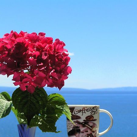 Guest House Lifestyle Holiday Opatija Zimmer foto